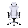 Cooler Master Caliber X2C White/Gray